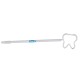 MOLAR